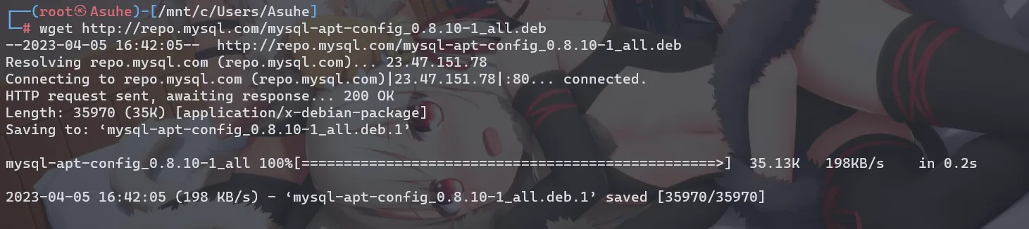 image-20230405165215341